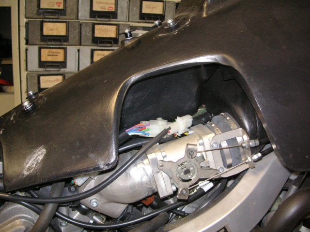 photo04.jpg