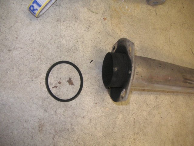 photo10.jpg