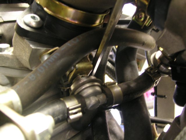 photo19.jpg