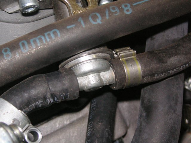 photo21.jpg
