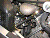 photo16.jpg