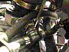photo19.jpg