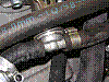 photo21.jpg
